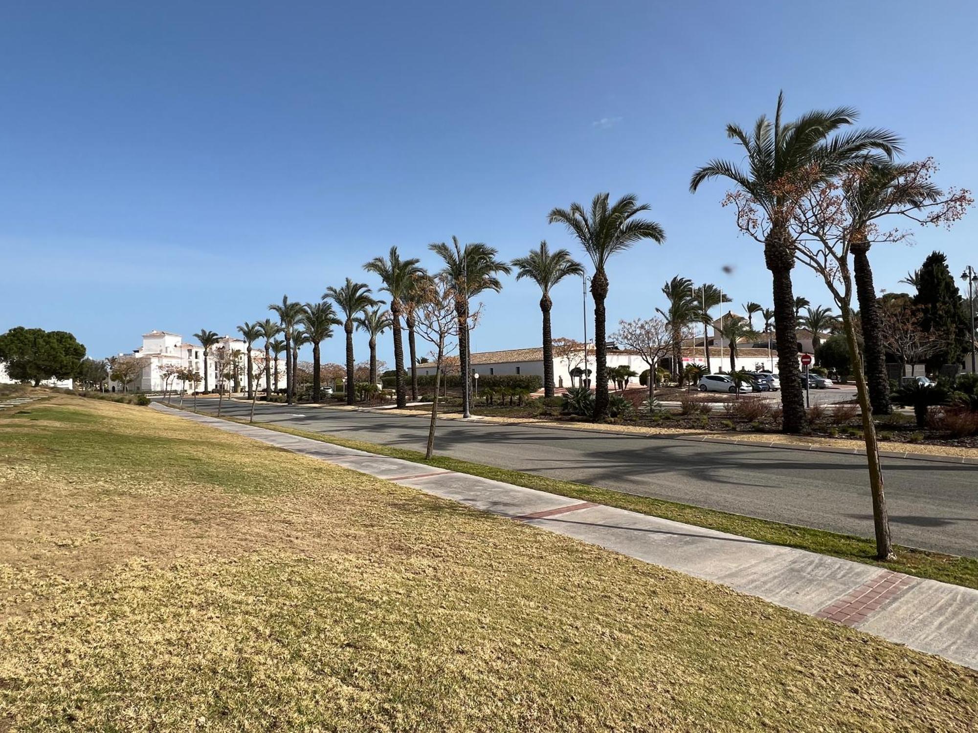 Apartment In Hacienda Riquelme Golf Resort Sucina Exterior foto